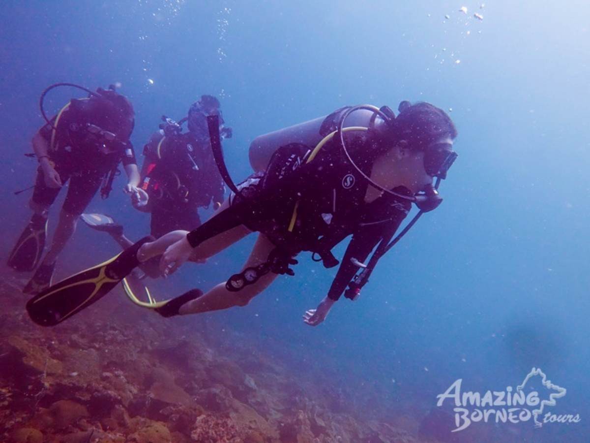 Discover Scuba Diving (For Non-Cert Diver) - Amazing Borneo Tours