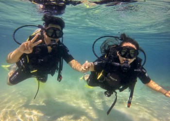 Discover Scuba Diving (For Non-Cert Diver)