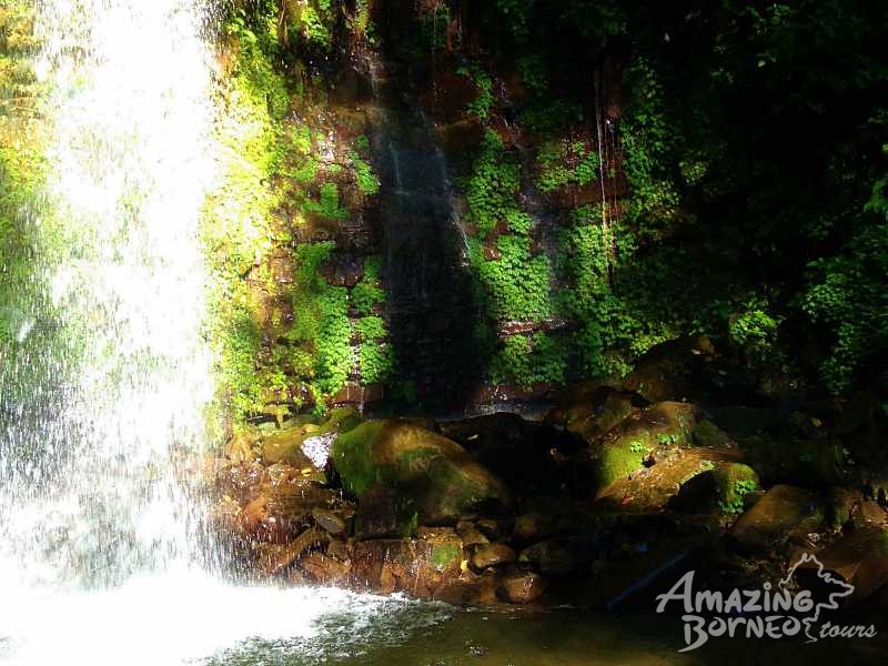 1 Day Borneo Jungle Trek with Mahua Waterfall (Mount Alab - 2,050M) - Amazing Borneo Tours