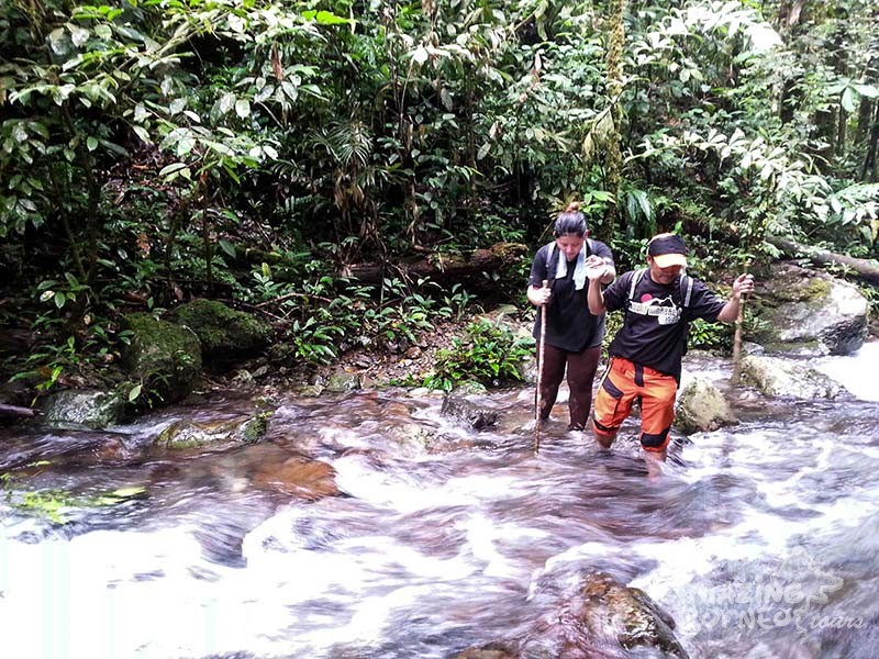 Borneo Jungle Trek - 2D1N Survival Learning Camp in Kiau - Amazing Borneo Tours