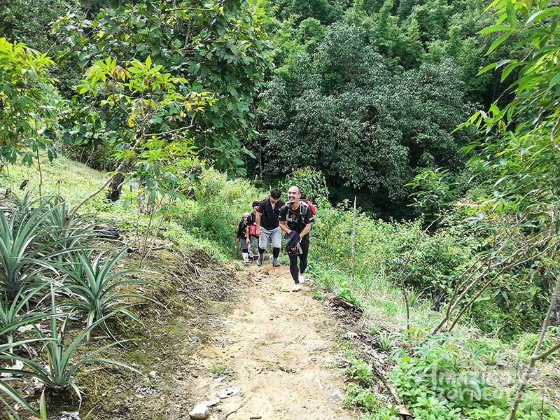 Borneo Jungle Trek - 2D1N Survival Learning Camp in Kiau - Amazing Borneo Tours