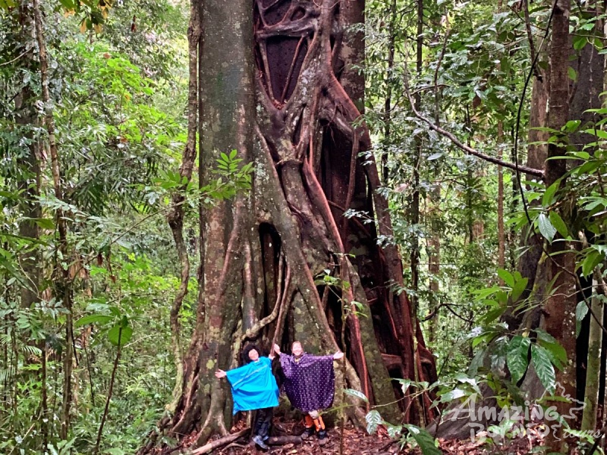 Borneo Jungle Trek - 4D3N Maliau Basin (Sabah's Lost World) - Amazing Borneo Tours