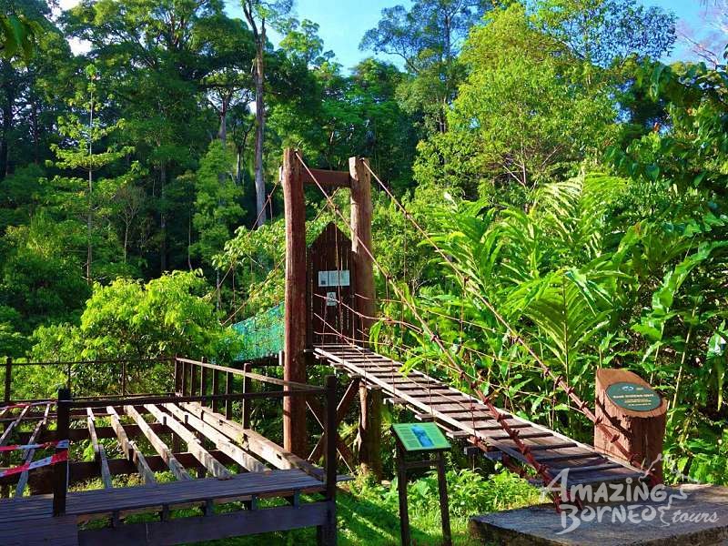 Borneo Jungle Trek - 4D3N Maliau Basin (Sabah's Lost World) - Amazing Borneo Tours