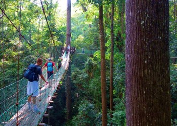 Borneo Jungle Trek - 4D3N Maliau Basin (Sabah's Lost World)