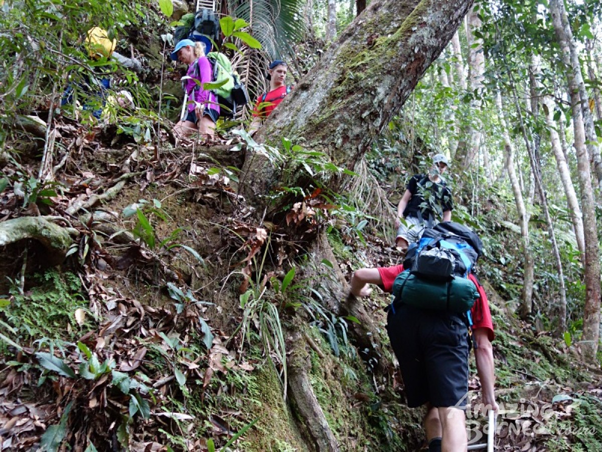 Borneo Jungle Trek - 5D4N Maliau Basin (Sabah's Lost World) - Amazing Borneo Tours