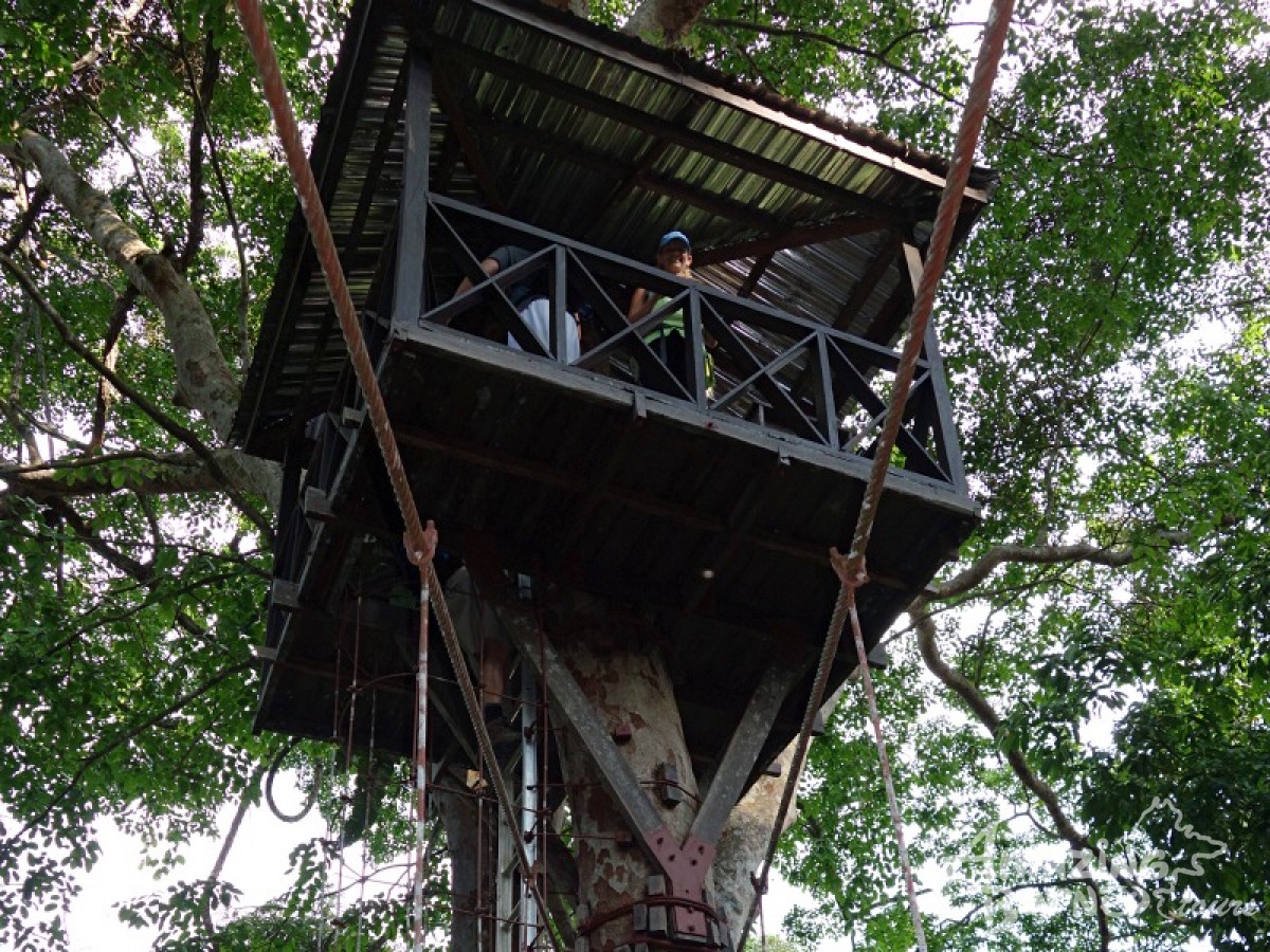 Borneo Jungle Trek - 5D4N Maliau Basin (Sabah's Lost World) - Amazing Borneo Tours