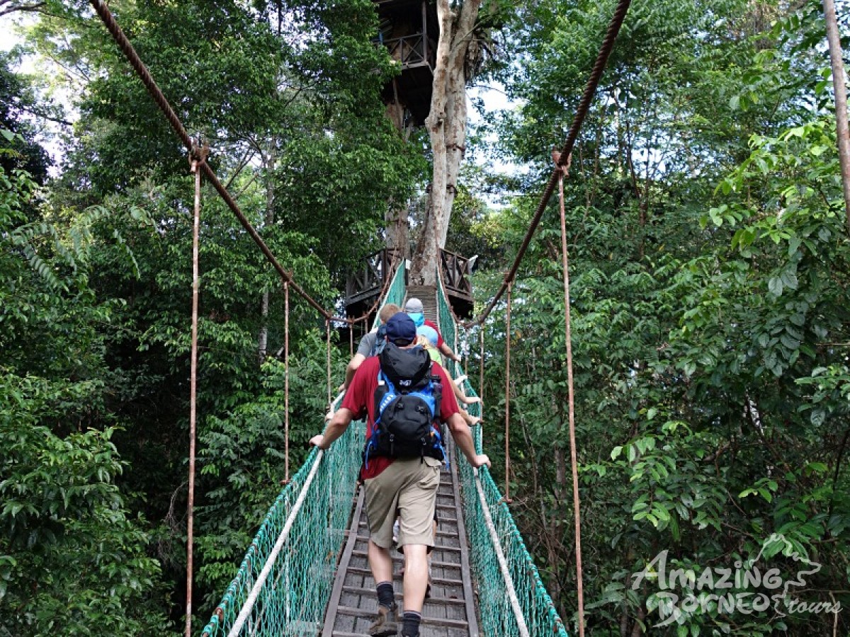 Borneo Jungle Trek - 5D4N Maliau Basin (Sabah's Lost World) - Amazing Borneo Tours