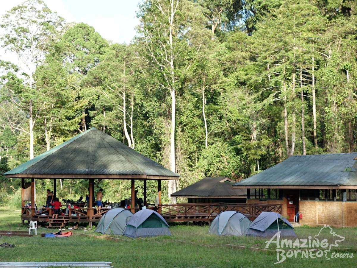 Borneo Jungle Trek - 5D4N Maliau Basin (Sabah's Lost World) - Amazing Borneo Tours