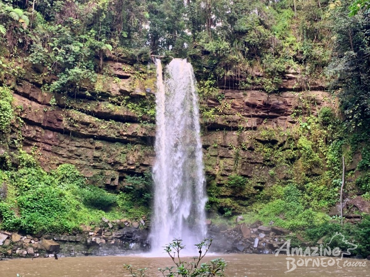 Borneo Jungle Trek - 5D4N Maliau Basin (Sabah's Lost World) - Amazing Borneo Tours