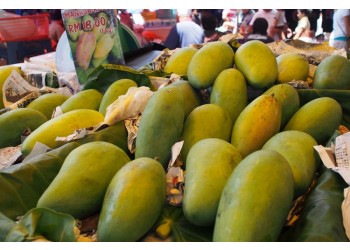 Tamu Gaya: Gaya Street Sunday Market