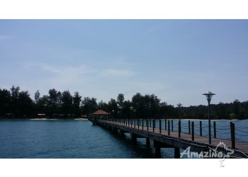 Pulau Tiga Day Trip