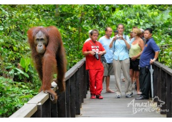 How to Spend Your Chinese New Year Holiday in Sabah