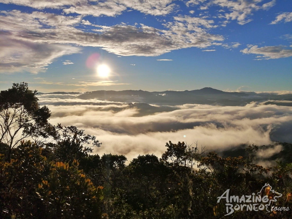 Best Hiking Trails for Jungle Trekking in Sabah: Our Top Eight Picks