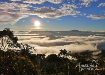 Best Hiking Trails for Jungle Trekking in Sabah: Our Top Eight Picks