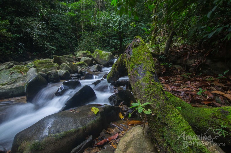 2.2 Million Acres of New Protected Jungle In Sarawak