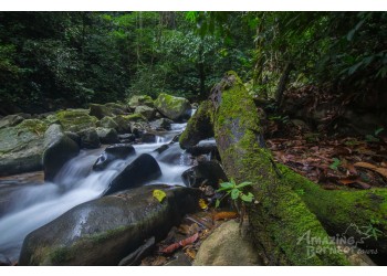 2.2 Million Acres of New Protected Jungle In Sarawak