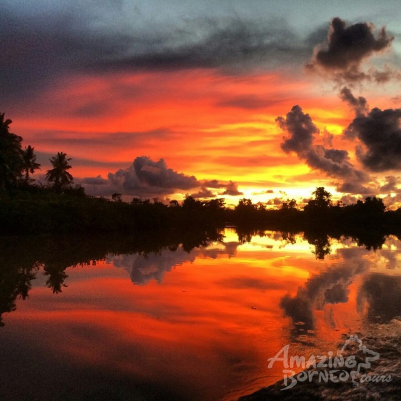 A Blazing Sunset The Klias River Cruise