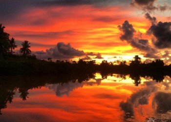 A Blazing Sunset The Klias River Cruise