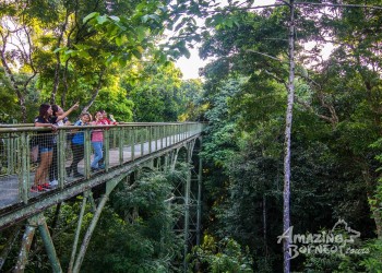 Top 6 Places to Visit in Sandakan