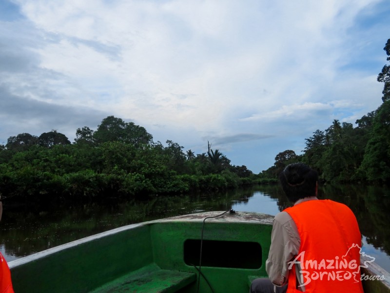 Becoming An Explorer On The Klias River Cruise