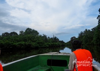 Becoming An Explorer On The Klias River Cruise