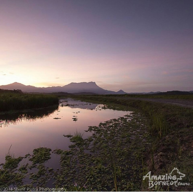 Essential Experience In Sabah