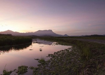 Essential Experience In Sabah