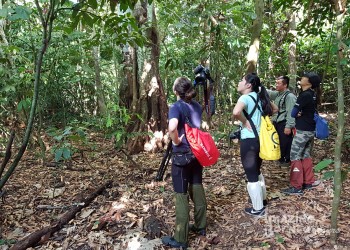 The Top 7 Wildlife in Borneo You Need to See Once It’s Good to Travel again (2020)