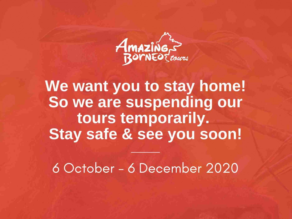 Important Announcement: Amazing Borneo Temporary Suspension of Tours