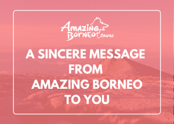 Sincere Message From Amazing Borneo To Amazing Travellers
