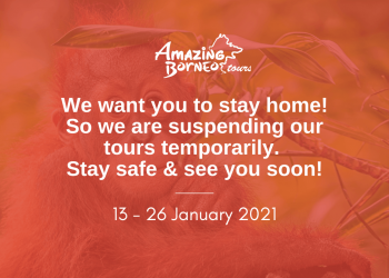 Amazing Borneo Temporary Suspension of Tours From 13 January - 26 January 2021