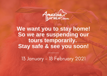 Amazing Borneo Temporary Suspension of Tours From 13 January - 18 February 2021