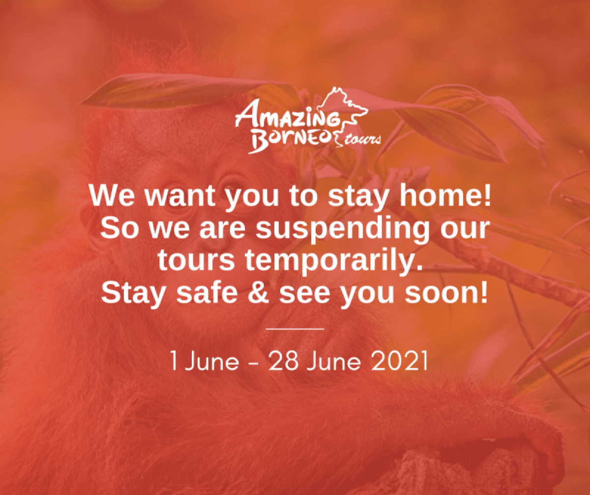 Amazing Borneo Temporary Suspension of Tours From 1 June - 28 June 2021