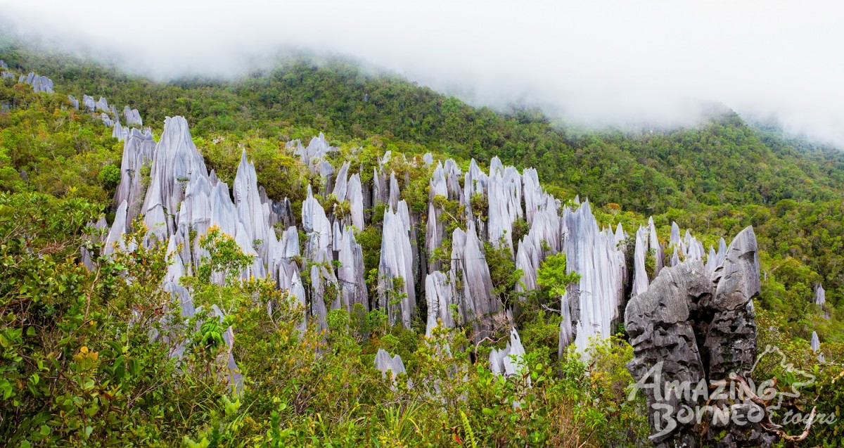 Uncovering the Mystical Mulu: A 4D3N Adventure with Amazing Borneo 
