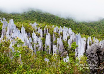 Uncovering the Mystical Mulu: A 4D3N Adventure with Amazing Borneo 
