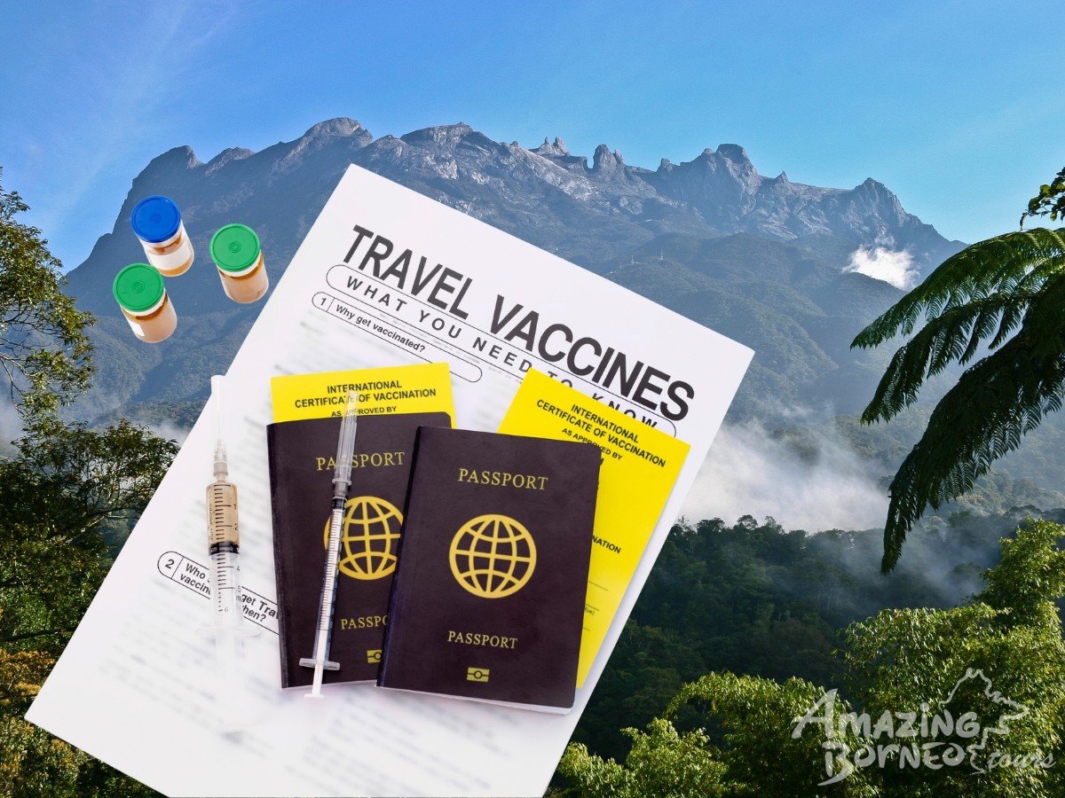 Essential Vaccinations for Travelling to Borneo: What You Need to Know