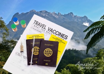 Essential Vaccinations for Travelling to Borneo: What You Need to Know