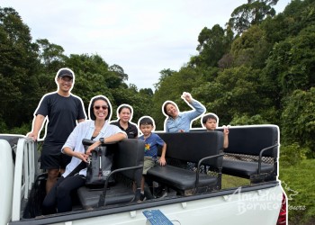 Trusan Sugut, Sabah: Borneo’s Best Kept Wildlife Secret (2026 Travel Guide)