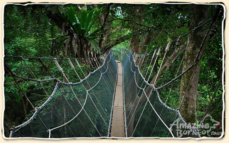 Kinabalu Park & Poring Hot Springs