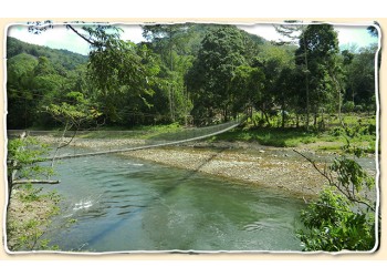 Kiulu Rafting (Grade 1-2)