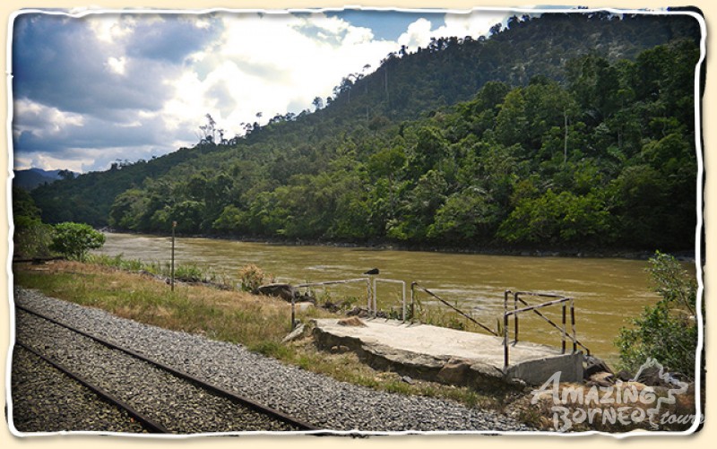 Padas Rafting Grade 3-4