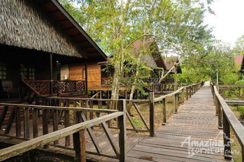 Kinabatangan Adventure