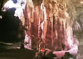 Gomantong Caves Adventure